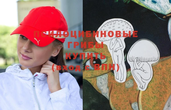 скорость mdpv Новозыбков