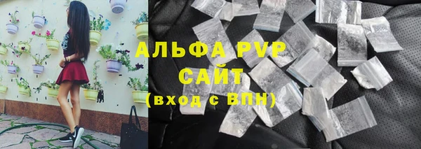 сатива Нефтекумск